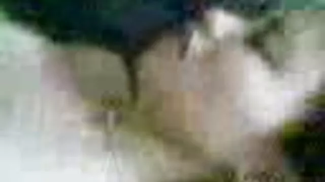 Καυτό πορνό χωρίς εγγραφή  Αποπλανώντας free ελληνικο πορνο έναν κούριερ με ένα τριχωτό μουνί.
