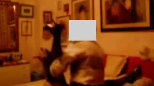 Καυτό πορνό χωρίς εγγραφή  Δύο ξανθιές γαμιούνται στον κώλο από έναν άντρα. πορνο ερασιτεχνικο ελληνικο